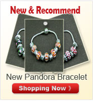 Pandora Bracelet